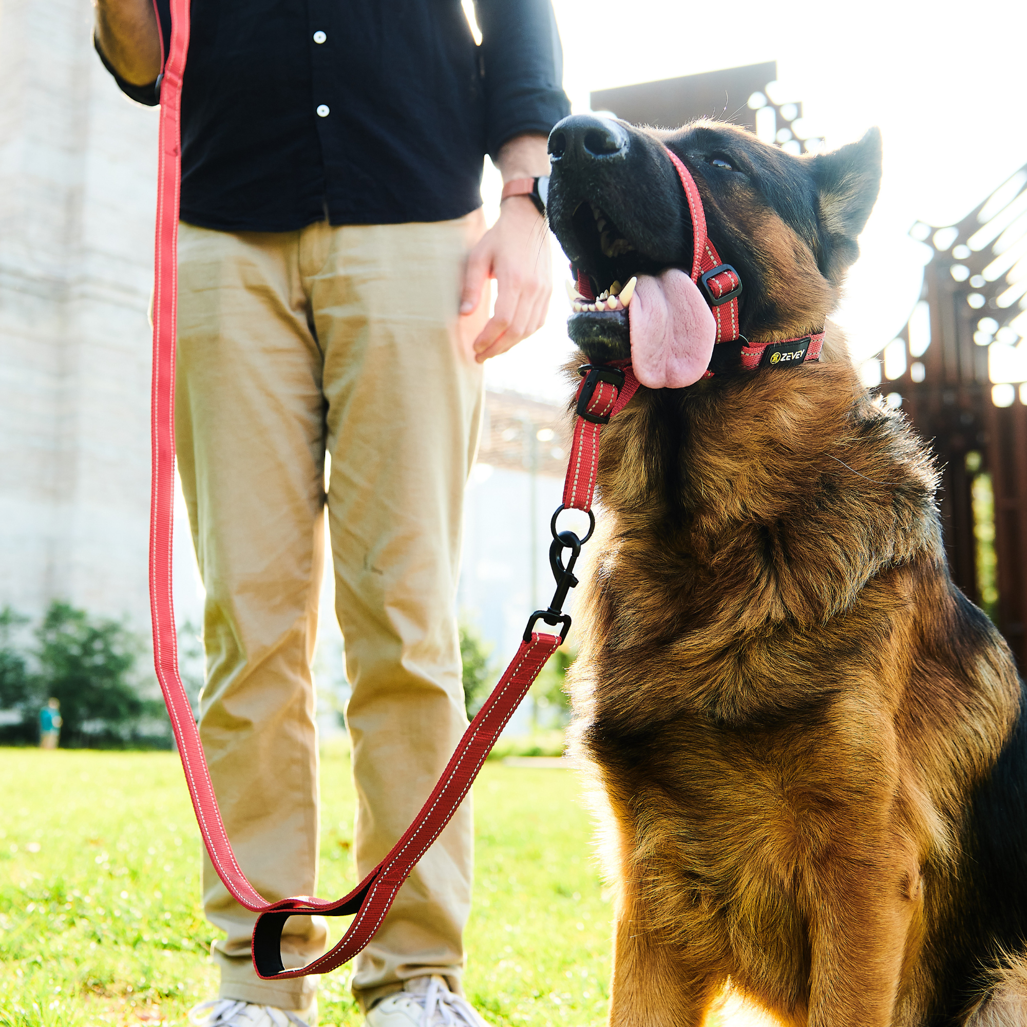 Zevey Heavy Duty Dog Leash