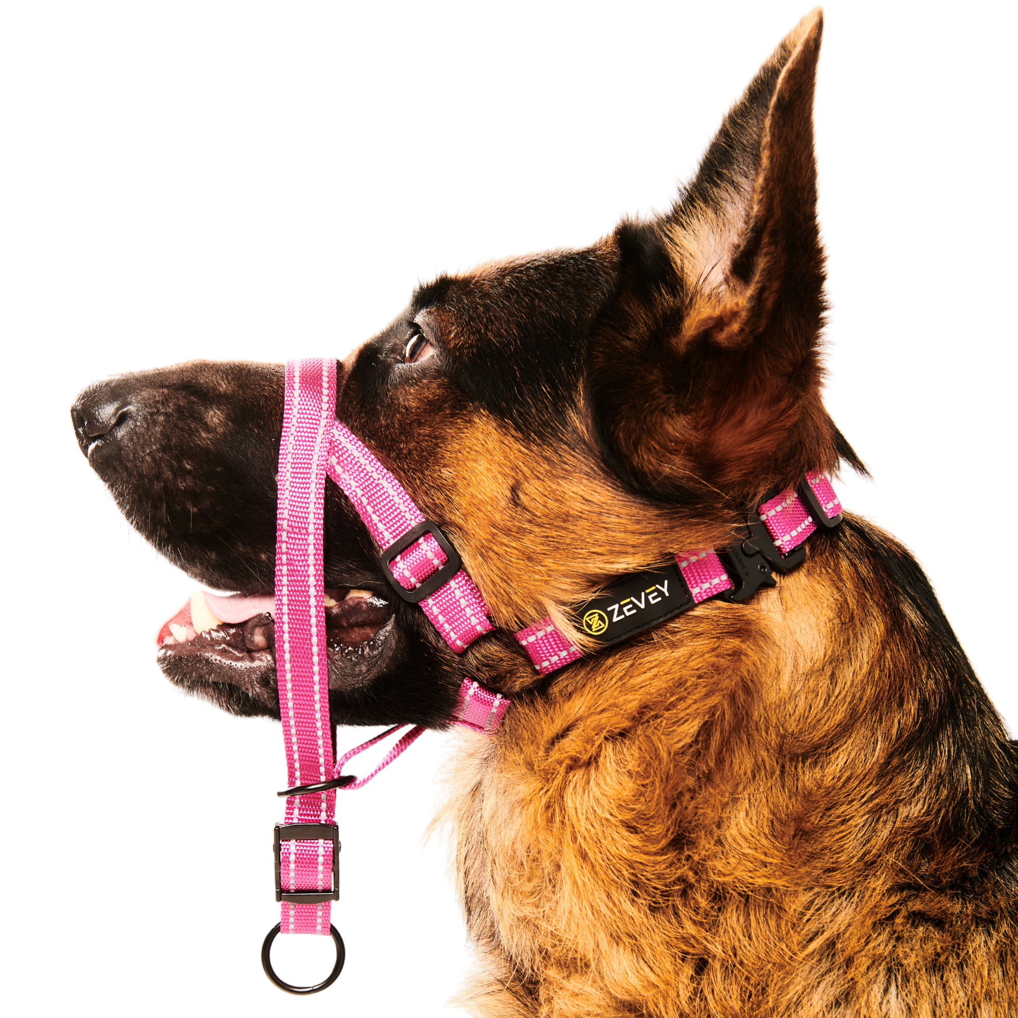 Dog Collar Petbarn No Pull Harness Petbarn Harness Dog No Pull Dog