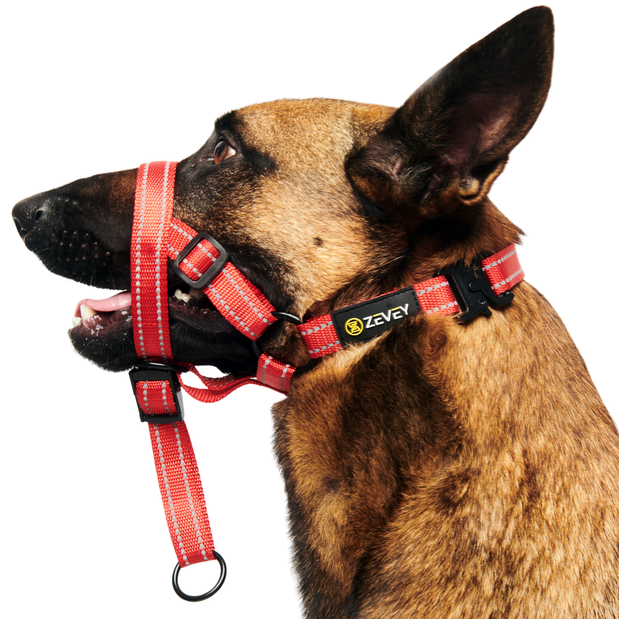 Wilderdog Harness BARKLESS Soft No Pull Head Halter, Togo Dog